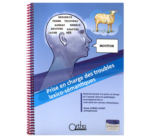 Boîte de Prise en charge des troubles lexico-sémantiques