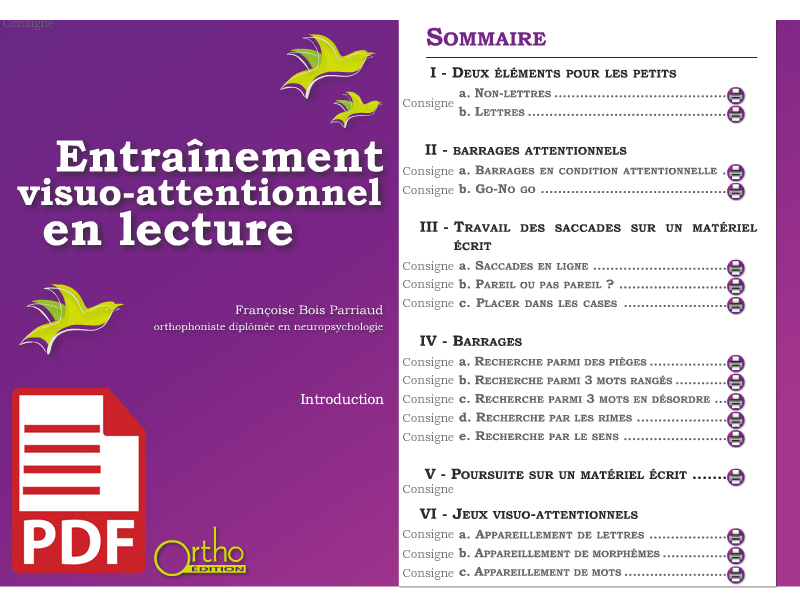 Boîte de Entraînement visuo-attentionnel en lecture (pdf)