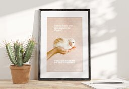 Affiche A2 - Lapins