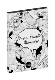 Pierre, Feuille, Mémoire