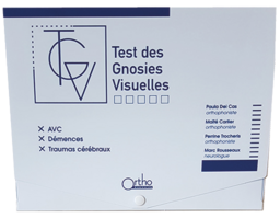 Test des Gnosies Visuelles - TGV