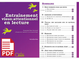Entraînement visuo-attentionnel en lecture (pdf)