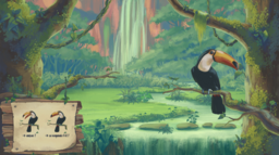 OrthoPro FE Licence Jungle