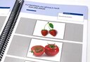 Activités Cognitives Visuelles
