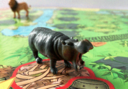 Partons en safari