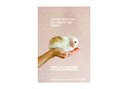 Affiche A2 - Lapins