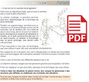 Le bégaiement de l'adolescent et de l'adulte (pdf)