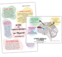 L'Hypnose : Question de Pratiques et Pratique en Questions